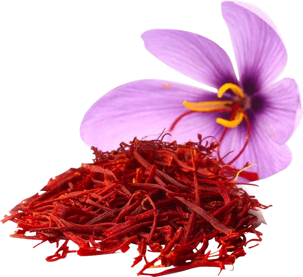 Dosing of saffron