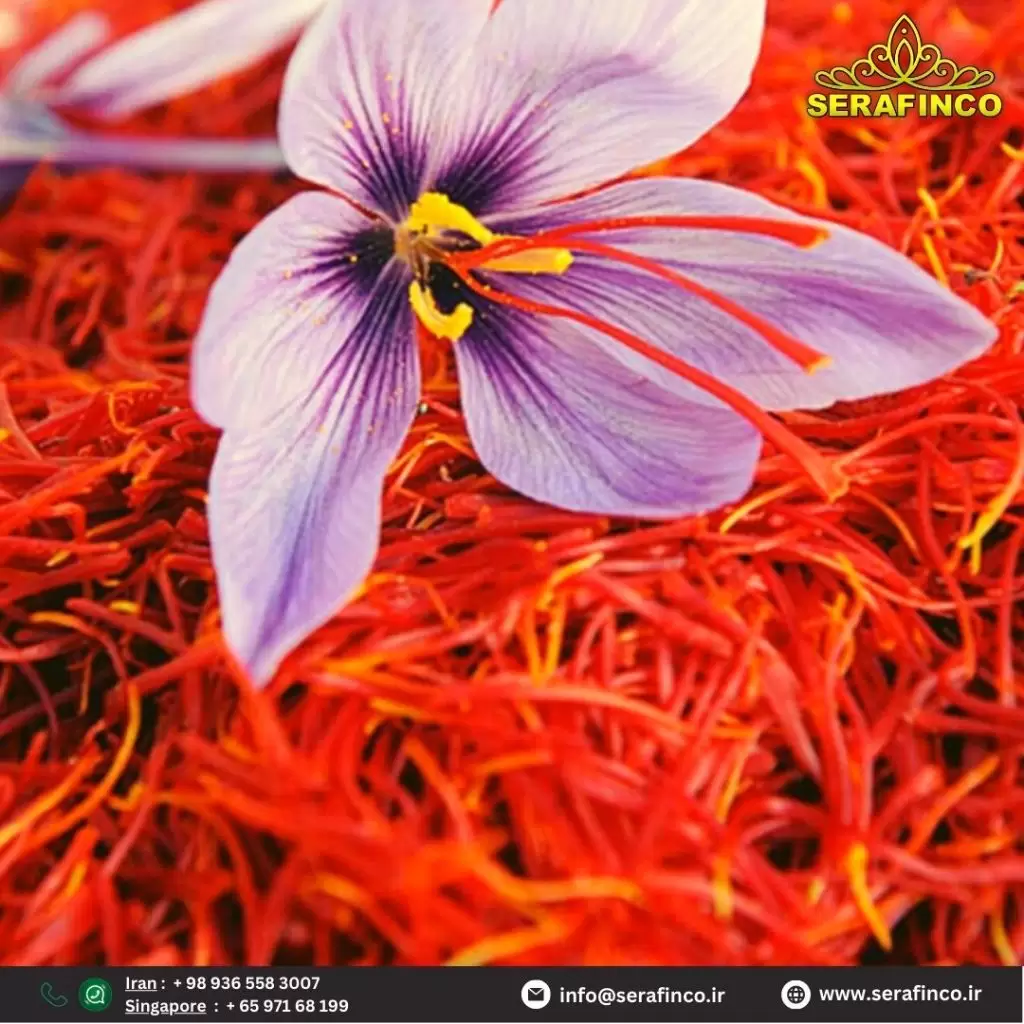 Pushal Saffron