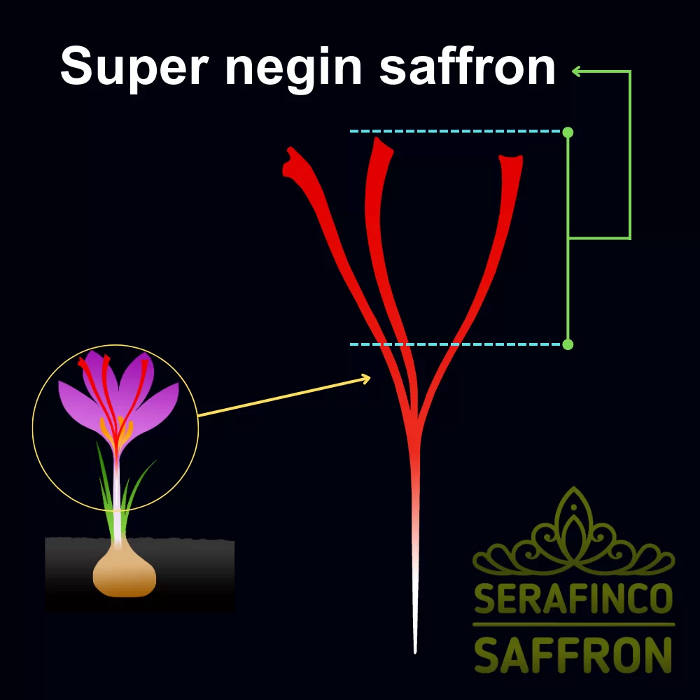 super negin saffron - Serafinco saffron - Singapore saffron