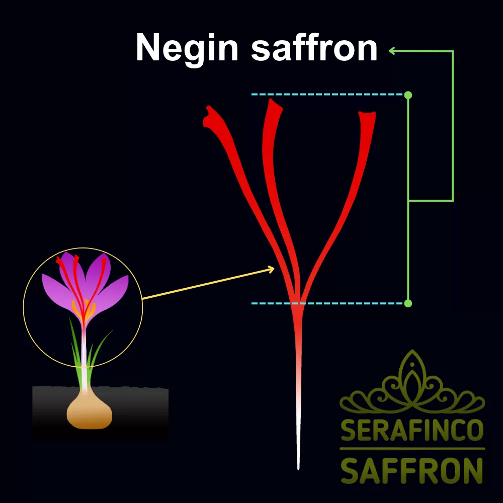 negin saffron